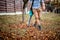 Professional gardener using leaf blower and working in the garden