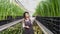 Professional Gardener woman grows flowers. young beautiful girl in apron is working in greenhouse.