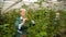 Professional gardeners working in rose garden