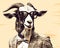 Professional Goat In A Suit: Digital Art, Stock Photo, High Dynamic Range