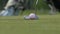 Professional golfer putting ball into the hole. Golf ball by the edge of hole with player in background on a sunny day.