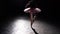 Professional graceful flexible ballerina dancing on her pointe ballet shoes in spotlight on black background in studio