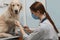 Professional groomer cutting fur of cute dog with scissors in pet beauty salon