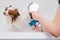 Professional groomer wash the dog in bath