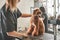 Professional grooming an apricot dog labradoodle in hair salon