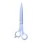 Professional hair scissors icon, cartoon style