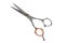 Professional haircut scissors