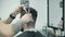 Professional hairdresser cutting hair with comb