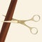 Professional hairdresser scissors and brown hair strand