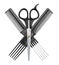 Professional hairdresser scissors and two combs