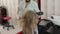 Professional hairdresser styling blows lacquer on model hair with a hair dryer