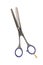 Professional hairdressers thinning scissors