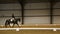 Professional horse riding competition video