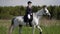 professional horse riding at summer day, woman jockey is training, riding white equine