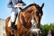 Professional horseman putting blue gloves on while riding horse