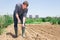 Professional horticulturist with garden shovel working at land