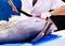 Professional Japanese chef cutting fresh Tuna fish in a Restaurant