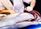 Professional Japanese chef cutting fresh Tuna fish in a Restaurant