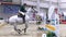 Professional jockey and his horse jump over the barrier. Slow motion.