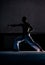 Professional karate silhouette fighter kicking. Isolated on a white background