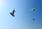 Professional kite boarding rider sportsman with kite in sky jumps high acrobatics kite boarding trick with massive kite loop in sk