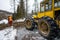 A professional lumberjack cutting down a dangerous tree near a public road