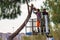 Professional Lumberjacks cuts trunks on the crane