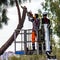 Professional Lumberjacks cuts trunks on the crane