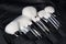 Professional make-up brush set on dark background. Natural and synthetic bristles. Black handles. Make up artist tools