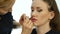 Professional makeup artist applying contour on lips of model. fashion industry cosmetics