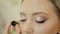 A professional makeup artist paints eyelashes on the upper eyelid with an eyelash brush. Mascara, long eyelashes, cosmetics, beaut