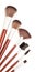 Professional makeup brushes