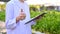 Professional male agricultural scientist showing thumb up hand gesture in the greenhouse