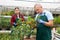 Professional male gardener taking care of potted Arbustus Unedo shrub in glasshouse