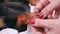 Professional massage does paw massage dog dachshund, black and tan, relaxed from spa procedures