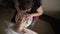 Professional masseur gives facial massage to woman. Action. Professional facial massage at Spa. Pleasant and