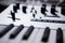 Professional midi keyboard for electronic music composer