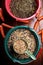 Professional  muesli and granules for  horses  served in  buckets with carrots. close up . feeding and horse care concept