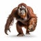 Professional Orangutan Photo: Full Body In Movement 8k Uhd