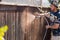 Professional Painter Spraying Yard Fence with Stain