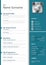 Professional personal resume cv in blue design and pointers