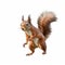 Professional Photo Of Cute Red Squirrel In Motion On White Background