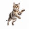 Professional Photo Of Tigressin Tabby Cat In Breakdance Style