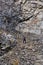 Professional photographer working in an ancient quarry