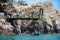 Professional in the process of extraction of guano in the Ballestas islands