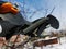 Professional pruner with tensioner and chain for trimming trees against the sky