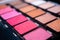 Professional rouge pallet for make up in cosmetic store - close up