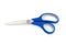 Professional scissors isolated on the white