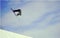 Professional skier making a high jump in the air