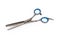 Professional stainless steel hair thinning scissor on a white background